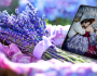 Historical Romance New Release